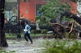 100 người Philippines chết do siêu bão Hải Yến 